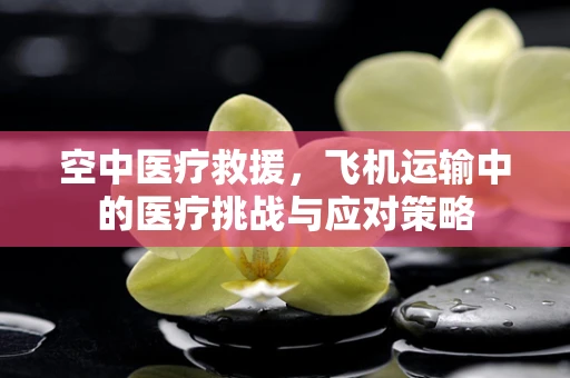 空中医疗救援，飞机运输中的医疗挑战与应对策略