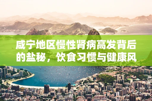 咸宁地区慢性肾病高发背后的盐秘，饮食习惯与健康风险