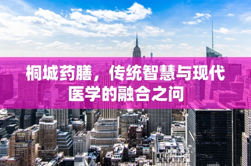 桐城药膳，传统智慧与现代医学的融合之问