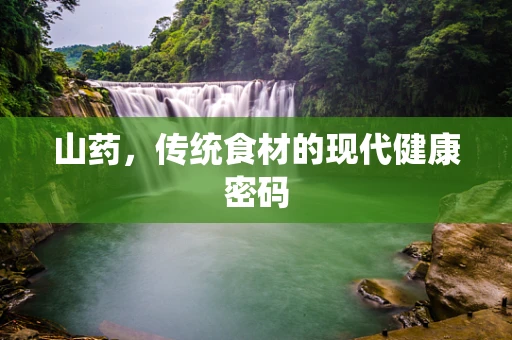 山药，传统食材的现代健康密码