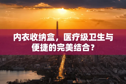内衣收纳盒，医疗级卫生与便捷的完美结合？