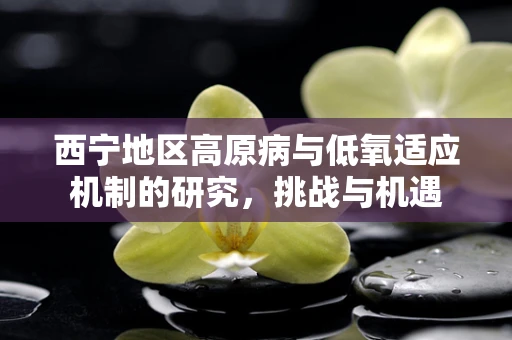 西宁地区高原病与低氧适应机制的研究，挑战与机遇