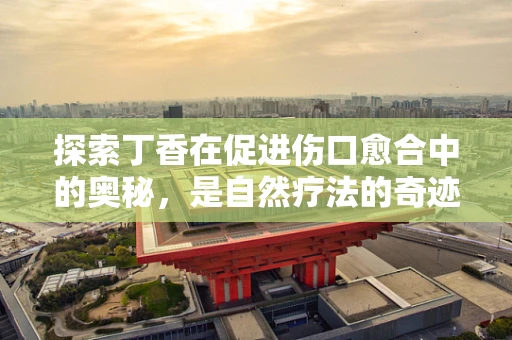 探索丁香在促进伤口愈合中的奥秘，是自然疗法的奇迹吗？
