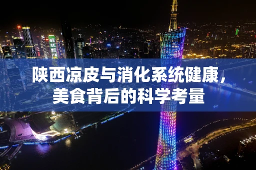 陕西凉皮与消化系统健康，美食背后的科学考量