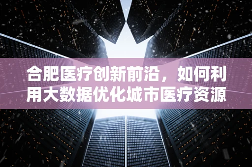 合肥医疗创新前沿，如何利用大数据优化城市医疗资源配置？
