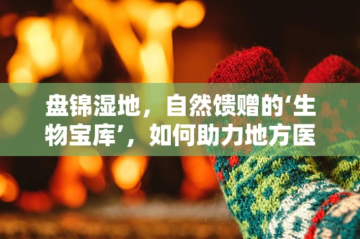 盘锦湿地，自然馈赠的‘生物宝库’，如何助力地方医疗科研创新？