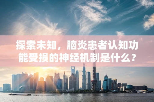 探索未知，脑炎患者认知功能受损的神经机制是什么？