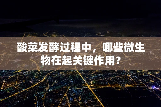 酸菜发酵过程中，哪些微生物在起关键作用？