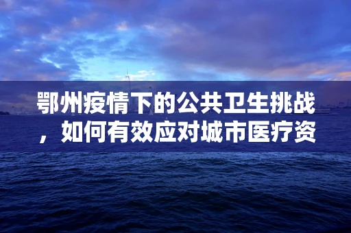 鄂州疫情下的公共卫生挑战，如何有效应对城市医疗资源紧张？