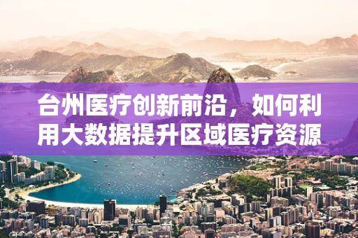 台州医疗创新前沿，如何利用大数据提升区域医疗资源分配效率？