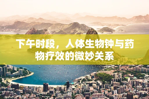 下午时段，人体生物钟与药物疗效的微妙关系