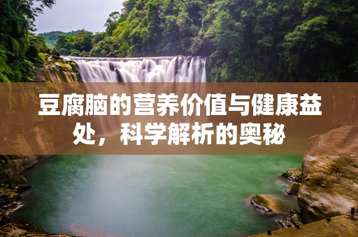 豆腐脑的营养价值与健康益处，科学解析的奥秘