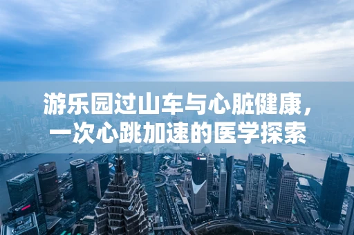 游乐园过山车与心脏健康，一次心跳加速的医学探索