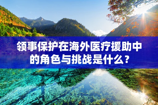 领事保护在海外医疗援助中的角色与挑战是什么？