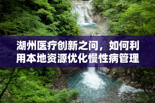 湖州医疗创新之问，如何利用本地资源优化慢性病管理？