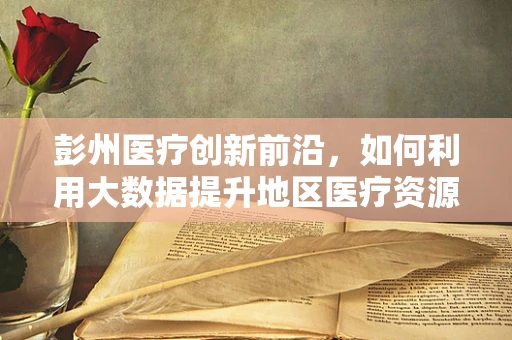 彭州医疗创新前沿，如何利用大数据提升地区医疗资源分配效率？