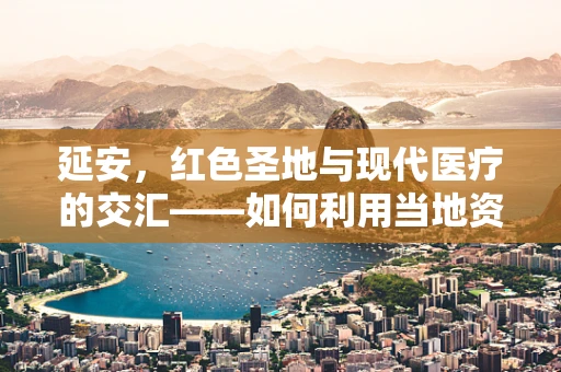 延安，红色圣地与现代医疗的交汇——如何利用当地资源促进医疗科研发展？
