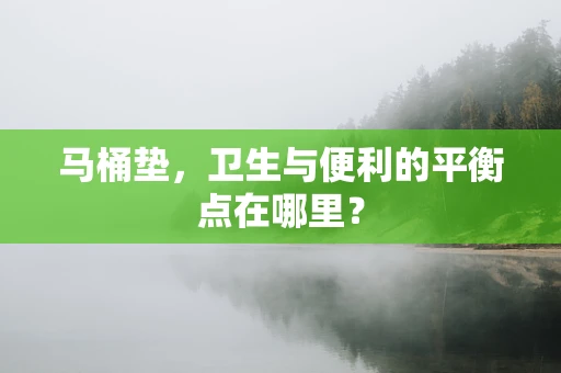 马桶垫，卫生与便利的平衡点在哪里？