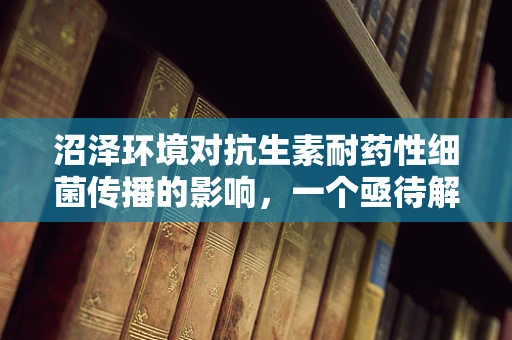 沼泽环境对抗生素耐药性细菌传播的影响，一个亟待解答的医学谜题