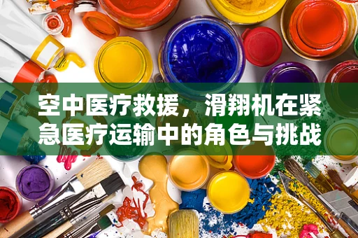 空中医疗救援，滑翔机在紧急医疗运输中的角色与挑战