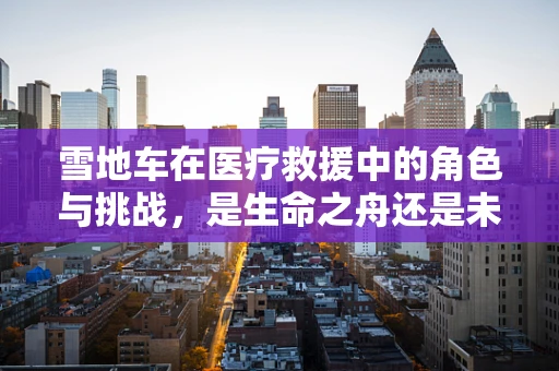 雪地车在医疗救援中的角色与挑战，是生命之舟还是未知的隐患？
