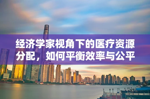 经济学家视角下的医疗资源分配，如何平衡效率与公平？