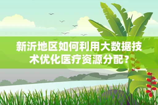 新沂地区如何利用大数据技术优化医疗资源分配？