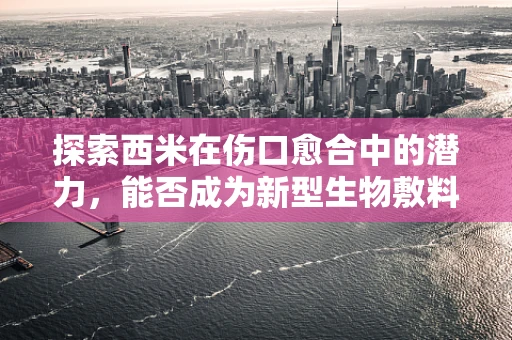 探索西米在伤口愈合中的潜力，能否成为新型生物敷料？
