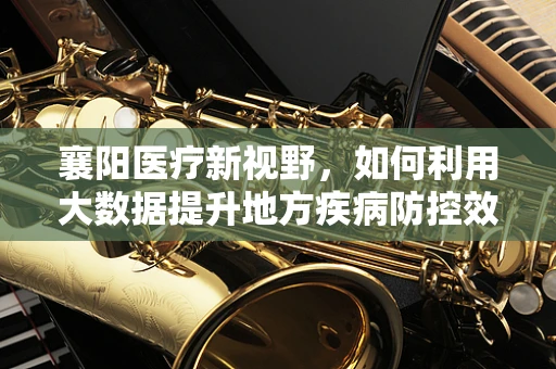 襄阳医疗新视野，如何利用大数据提升地方疾病防控效率？