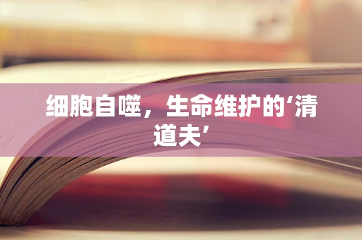 细胞自噬，生命维护的‘清道夫’