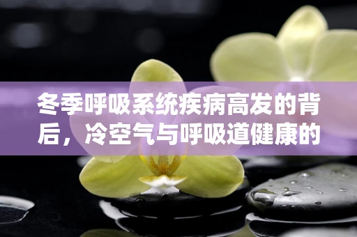 冬季呼吸系统疾病高发的背后，冷空气与呼吸道健康的微妙关系