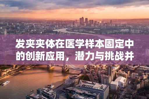 发夹夹体在医学样本固定中的创新应用，潜力与挑战并存？