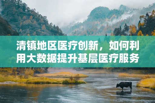 清镇地区医疗创新，如何利用大数据提升基层医疗服务效率？