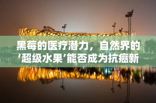黑莓的医疗潜力，自然界的‘超级水果’能否成为抗癌新星？