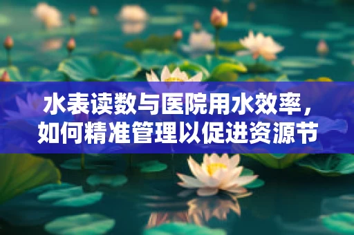 水表读数与医院用水效率，如何精准管理以促进资源节约？