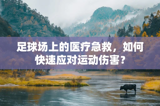 足球场上的医疗急救，如何快速应对运动伤害？