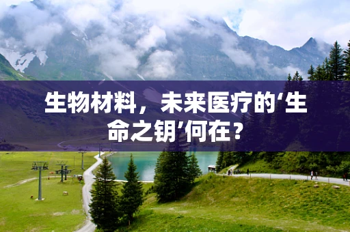 生物材料，未来医疗的‘生命之钥’何在？