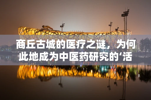 商丘古城的医疗之谜，为何此地成为中医药研究的‘活化石’？