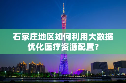 石家庄地区如何利用大数据优化医疗资源配置？