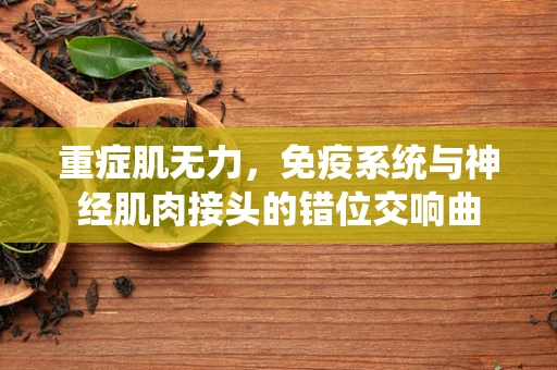 重症肌无力，免疫系统与神经肌肉接头的错位交响曲