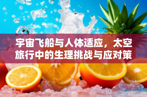 宇宙飞船与人体适应，太空旅行中的生理挑战与应对策略