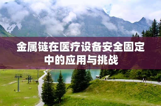 金属链在医疗设备安全固定中的应用与挑战