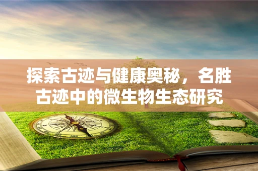 探索古迹与健康奥秘，名胜古迹中的微生物生态研究