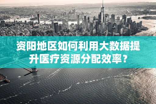 资阳地区如何利用大数据提升医疗资源分配效率？