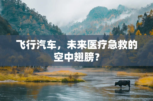 飞行汽车，未来医疗急救的空中翅膀？