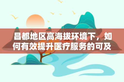 昌都地区高海拔环境下，如何有效提升医疗服务的可及性与效率？