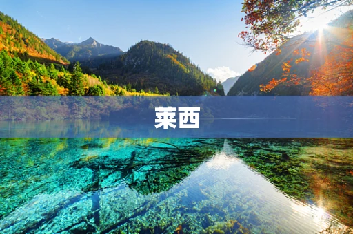 莱西