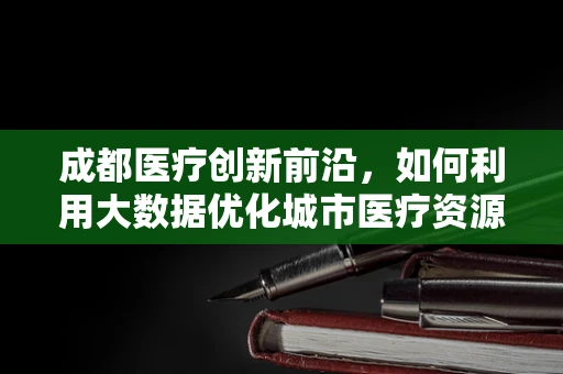 成都医疗创新前沿，如何利用大数据优化城市医疗资源分配？