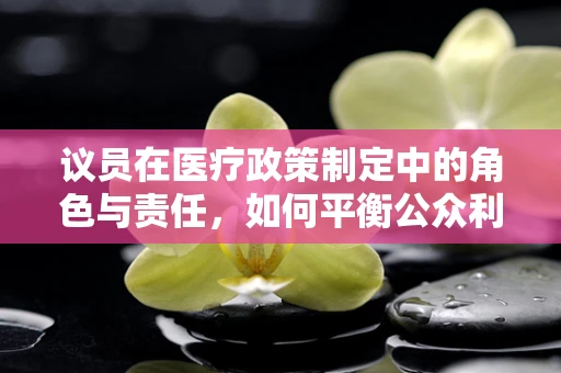 议员在医疗政策制定中的角色与责任，如何平衡公众利益与个人立场？