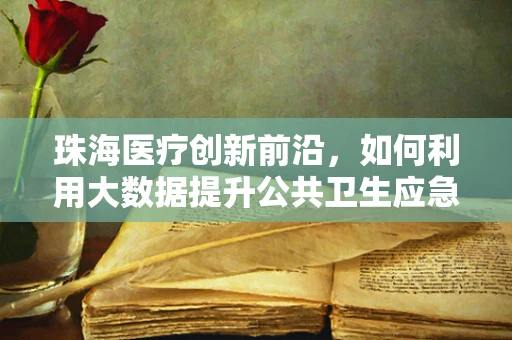 珠海医疗创新前沿，如何利用大数据提升公共卫生应急响应能力？